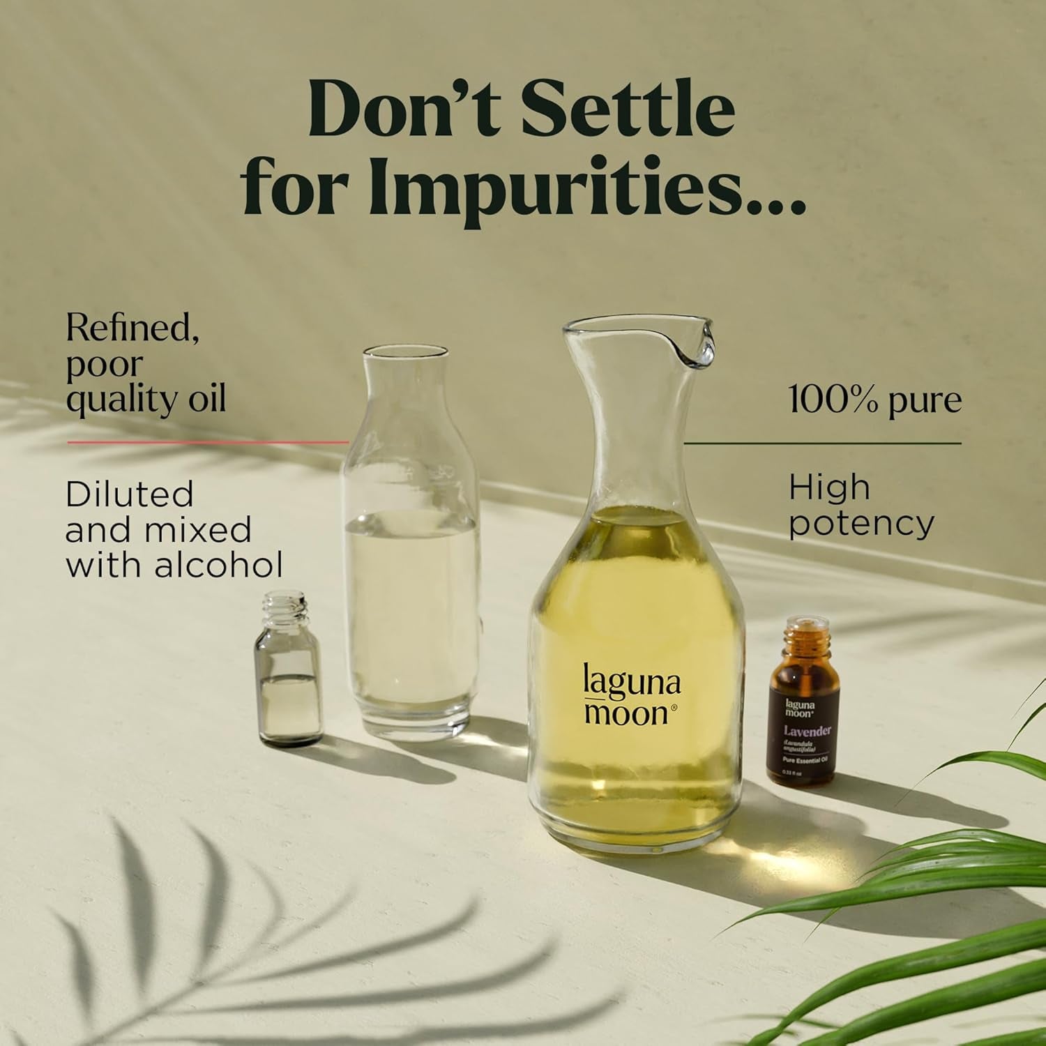 Essential Oils Set Top 20 Aromatherapy Gift Set for Diffusers & Humidifiers - PREMA TIME - Prema Time