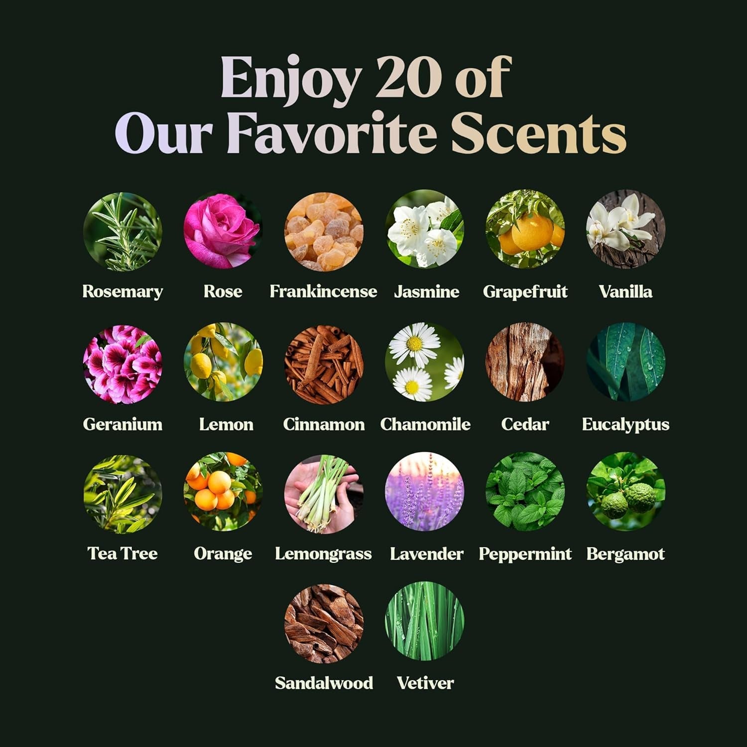 Essential Oils Set Top 20 Aromatherapy Gift Set for Diffusers & Humidifiers - PREMA TIME - Prema Time